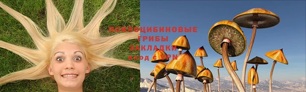 индика Касимов