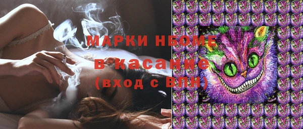 индика Касимов