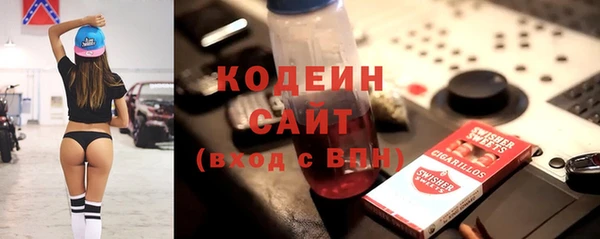 индика Касимов