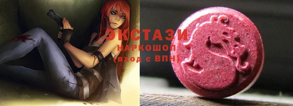 индика Касимов