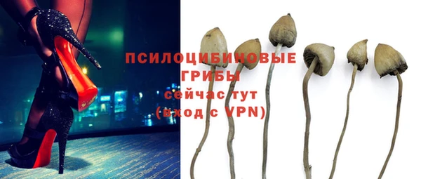 крисы Карталы