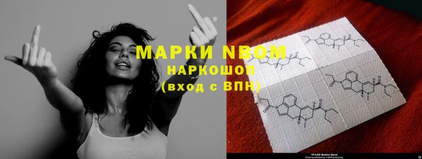 индика Касимов