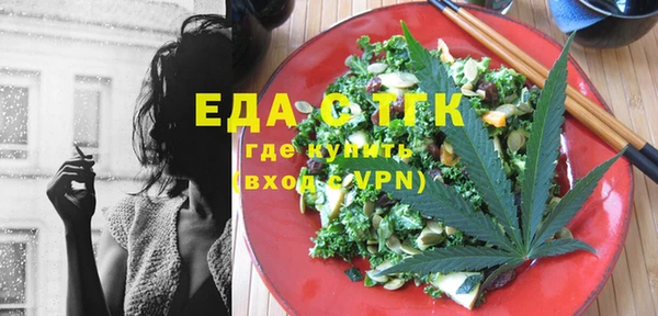 индика Касимов