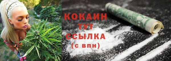амф Карпинск