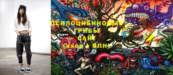 крисы Карталы