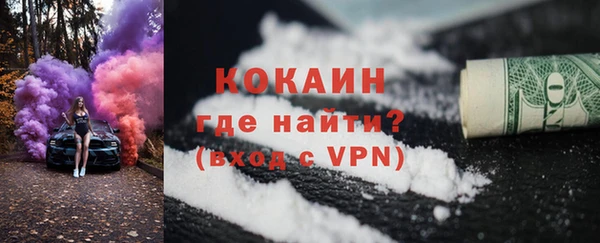 индика Касимов