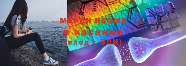 индика Касимов