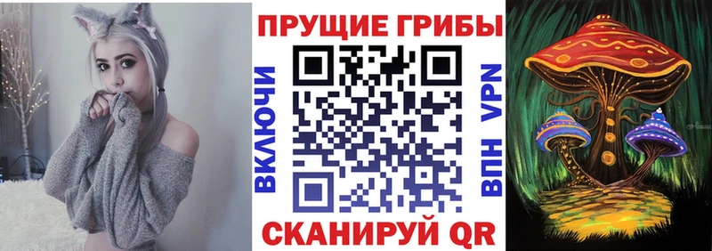 Купить закладки  Буй  Псилоцибиновые грибы MAGIC MUSHROOMS 